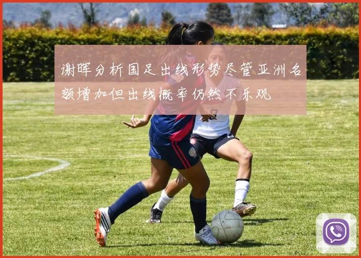谢晖分析国足出线形势尽管亚洲名额增加但出线概率仍然不乐观